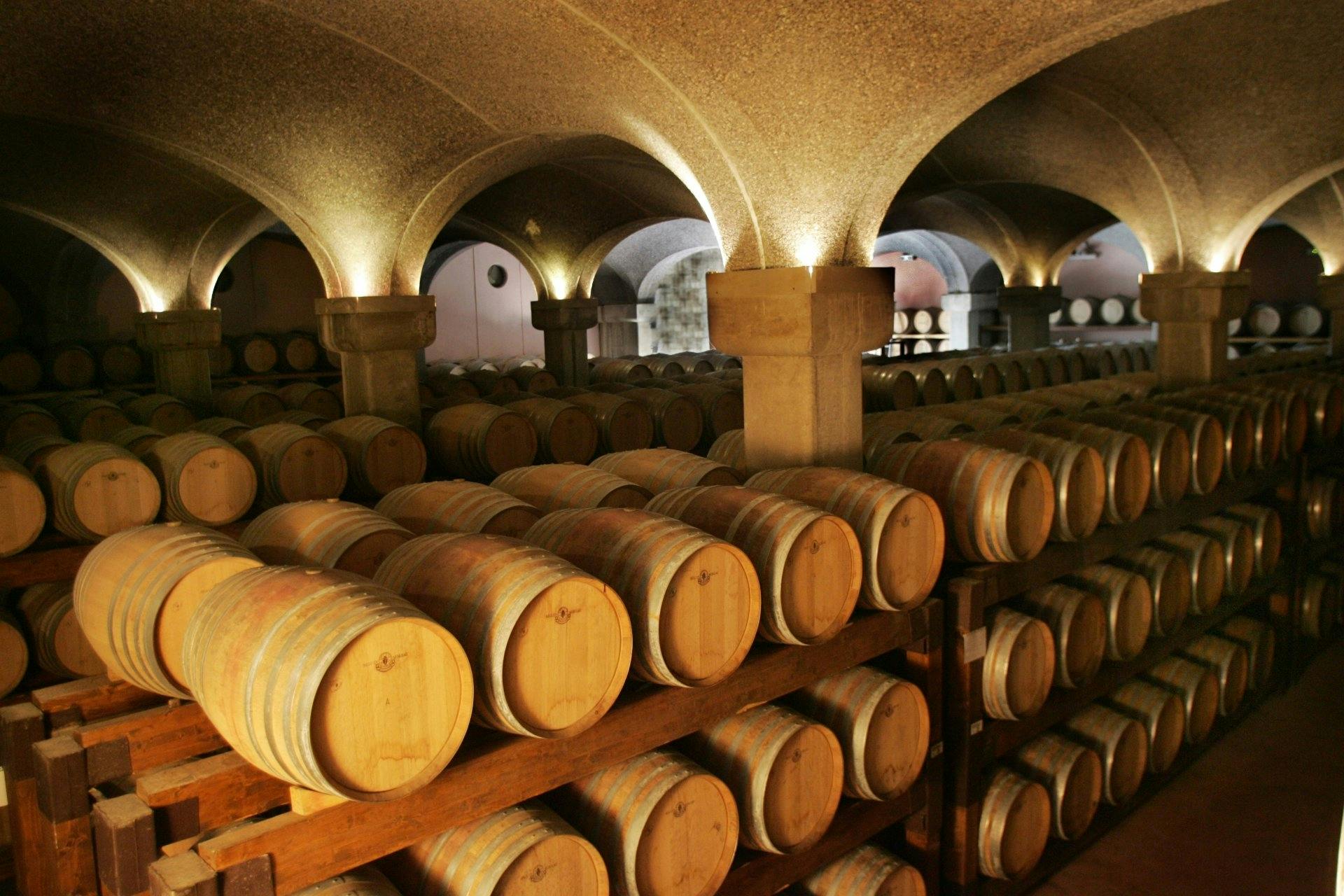 Besuch des Weinguts Argiolas in Serdiana ab Cagliari mit Verkostungen