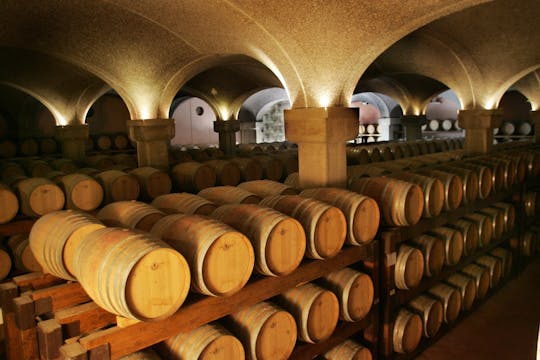 Visita de la bodega Argiolas en Serdiana desde Cagliari con degustaciones.