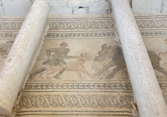 Guided tour of the Roman Villa of Salar from Granada