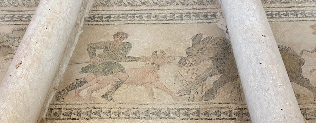Visita guiada à Villa Romana de Salar desde Granada