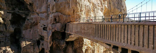 Guided tour of the Caminito del Rey from Granada