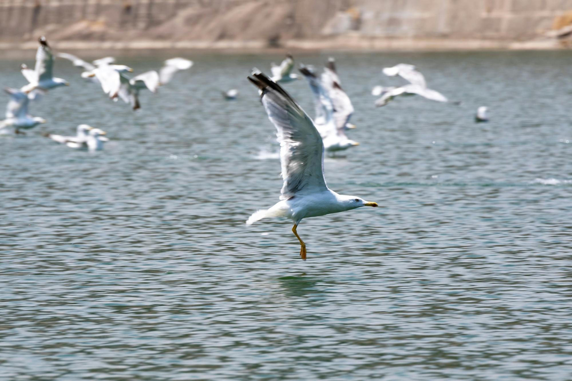 Lake Karacaören Boat Cruise & Visit to Karatas Cave