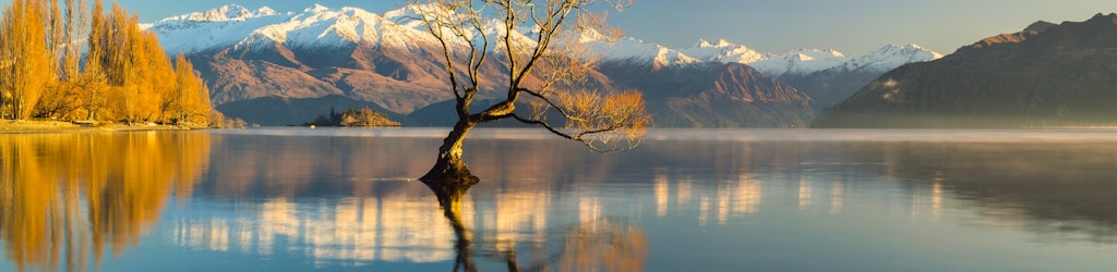 Experience Wanaka - What to see and do