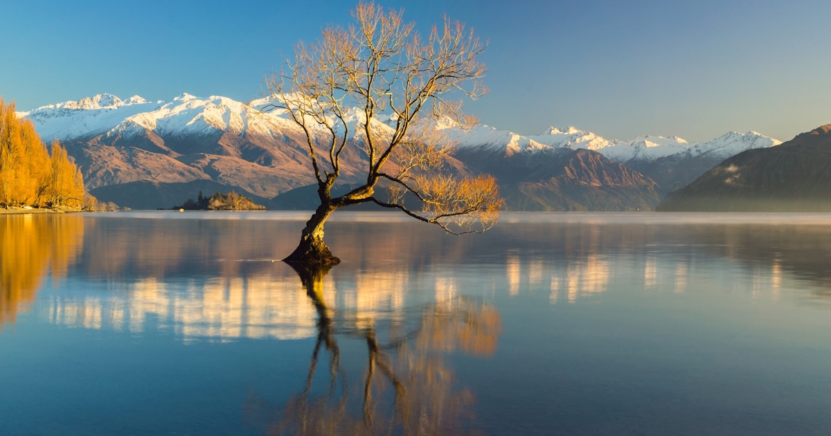 Wanaka: What to Do, What to Book, and How to Plan It (Tips + FAQ) Wanaka: What to Do, What to Book, and How to Plan It (Tips + FAQ)