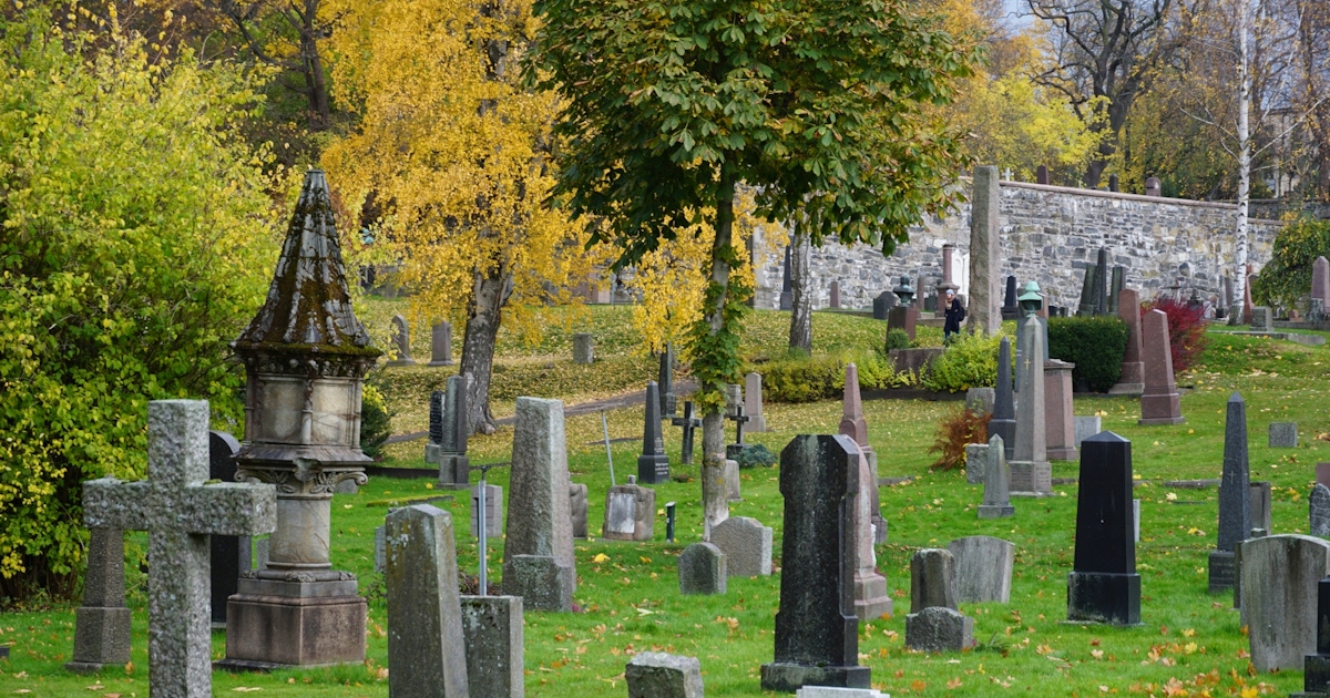 Oslo Old Town Tours and Tickets