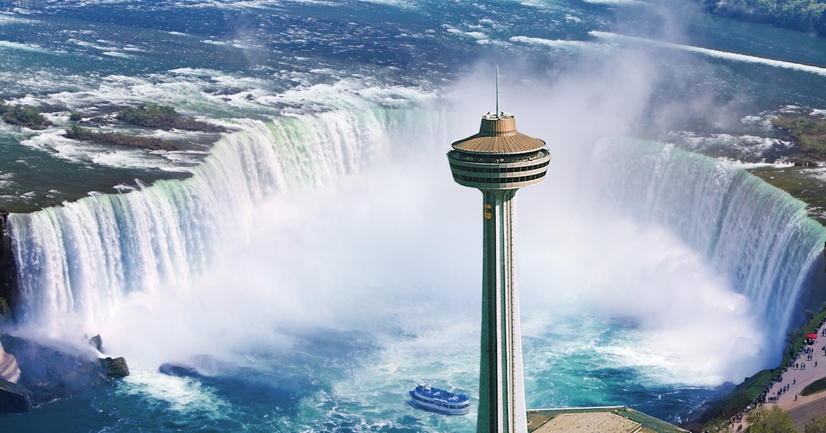 Skylon Tower Tours and Tickets  musement