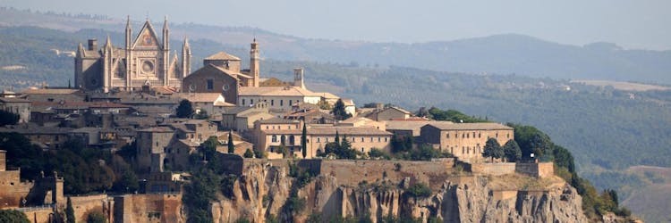 Orvieto and Assisi private tour with luxury vehicle