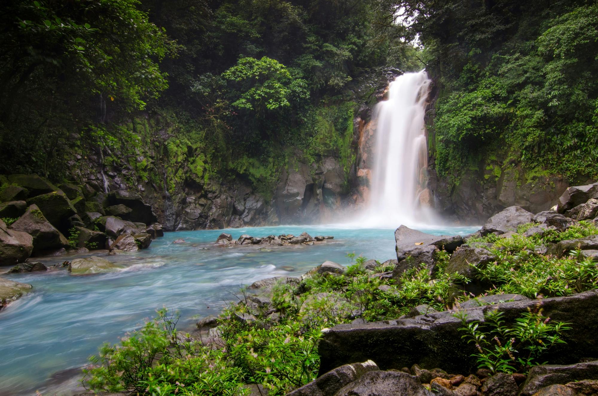 Hiking Tour in Tenorio Volcano National Park