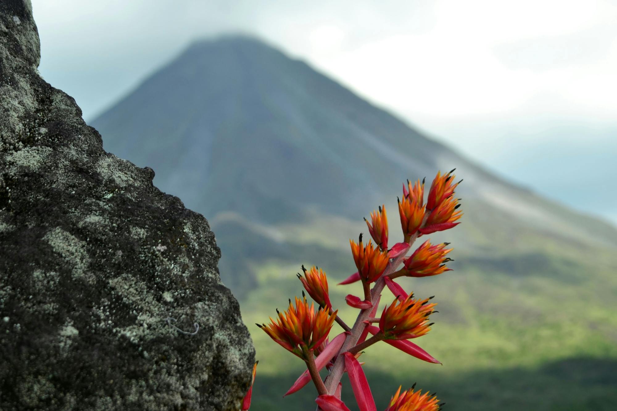 Arenal Volcano National Park Tour