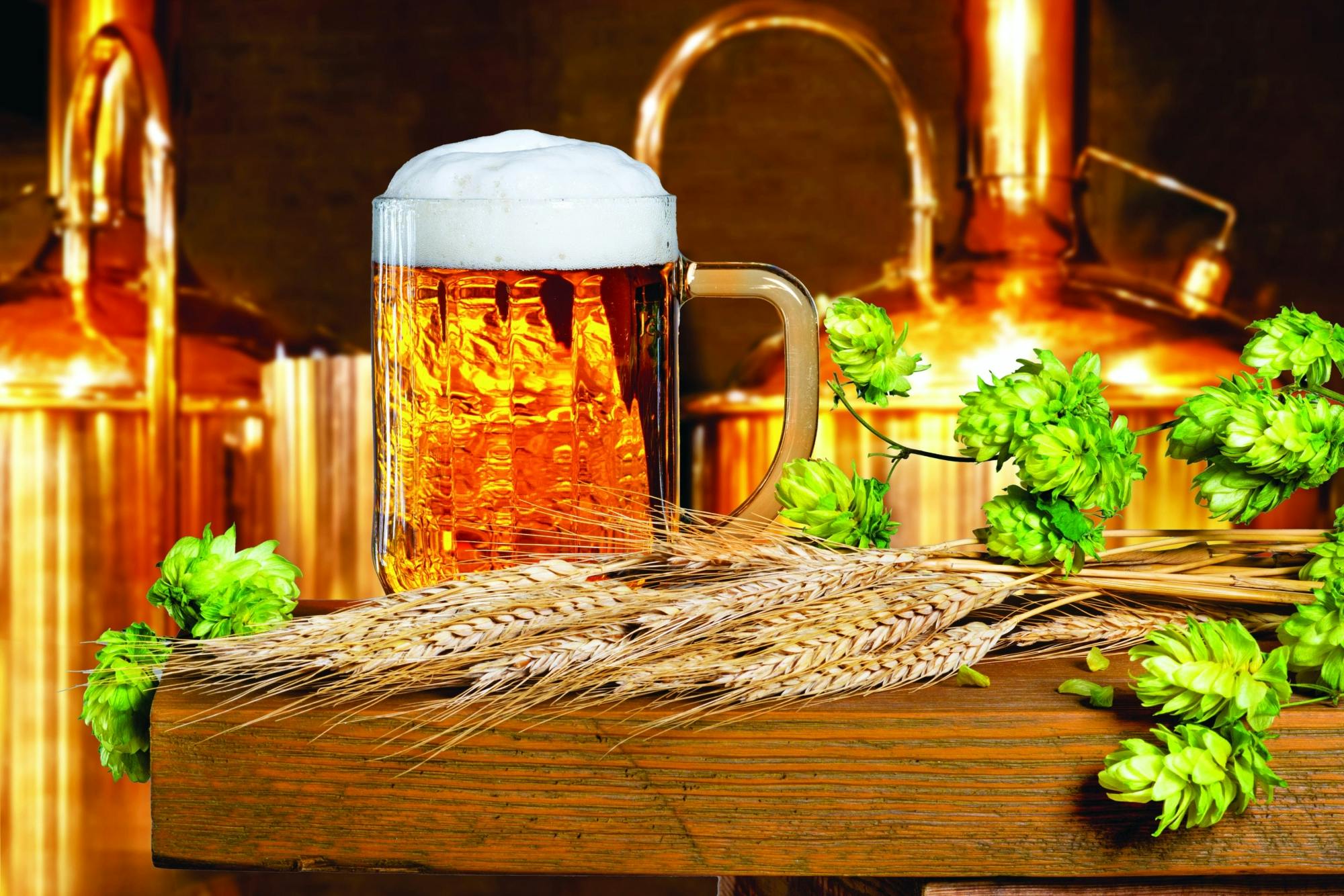 River Cruises Collection: Nijmegen Brewery Visit with Tastings