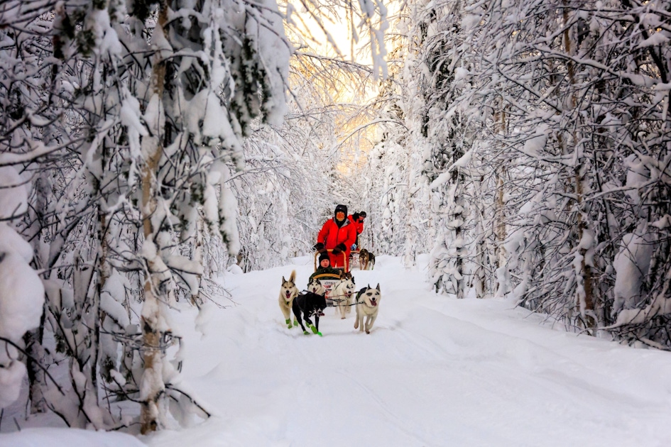 Winter activities in Kuusamo  musement