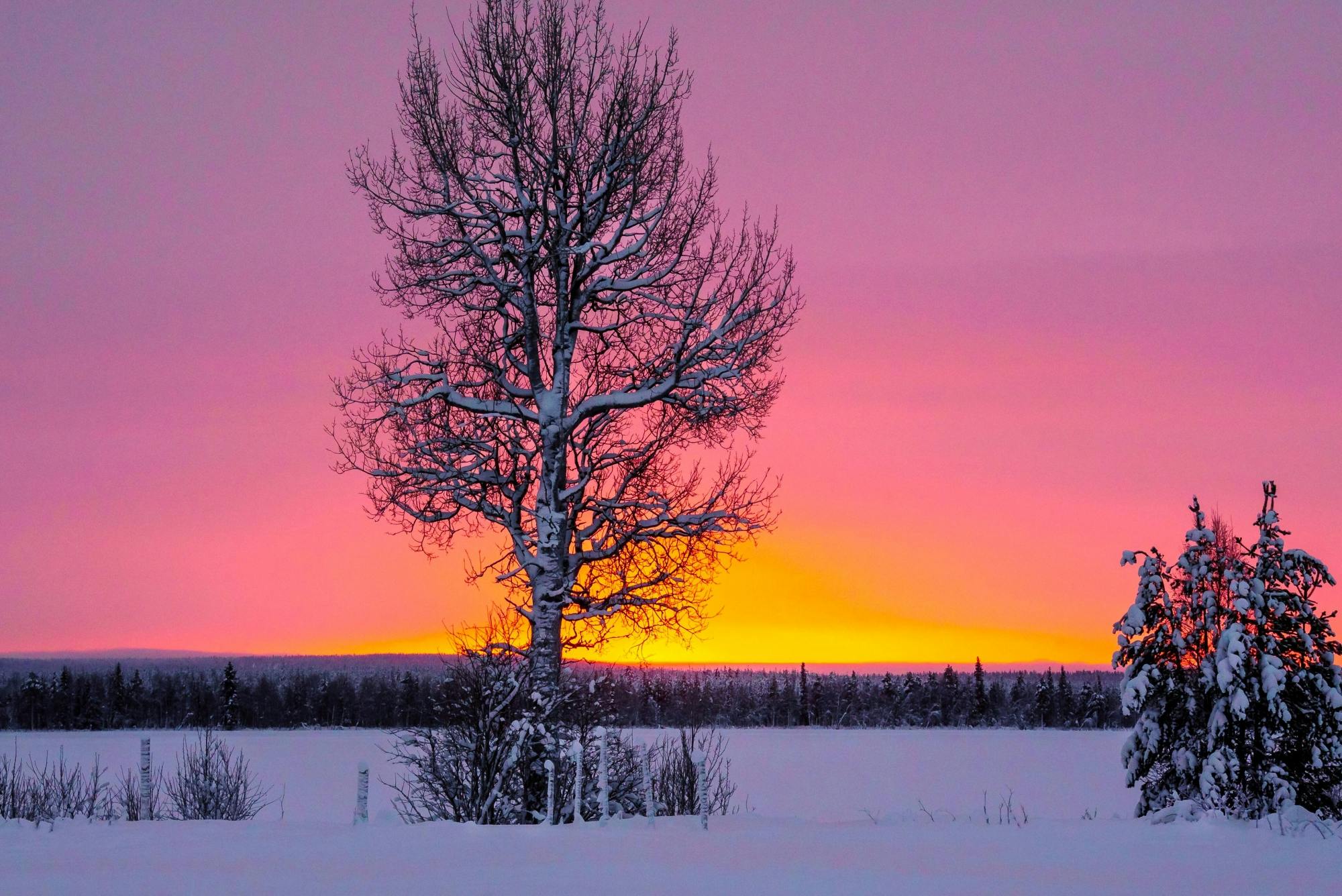 Kuusamo Snowmobile Day Tour