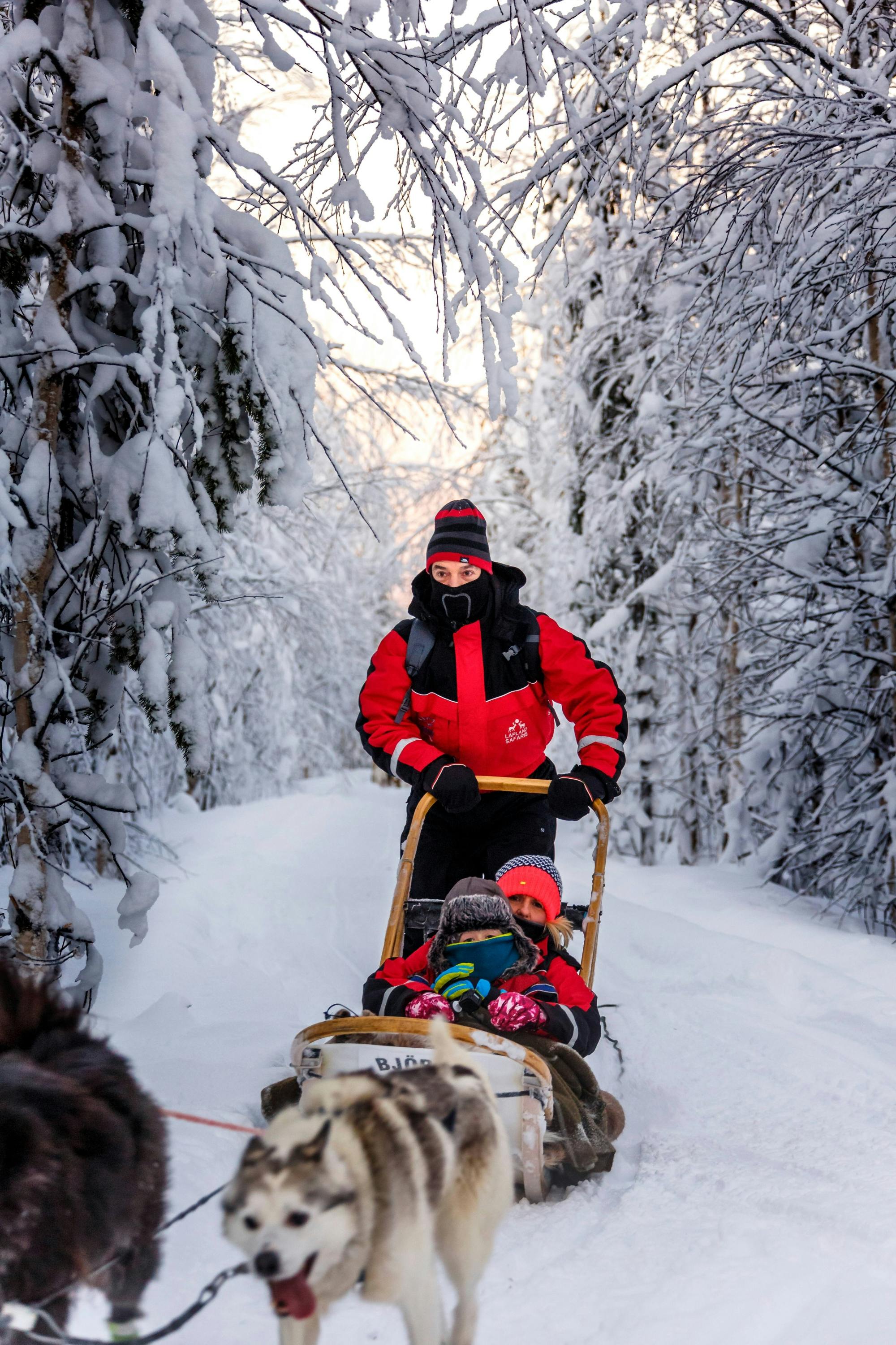 Kuusamo Husky & Reindeer Sleigh Tour