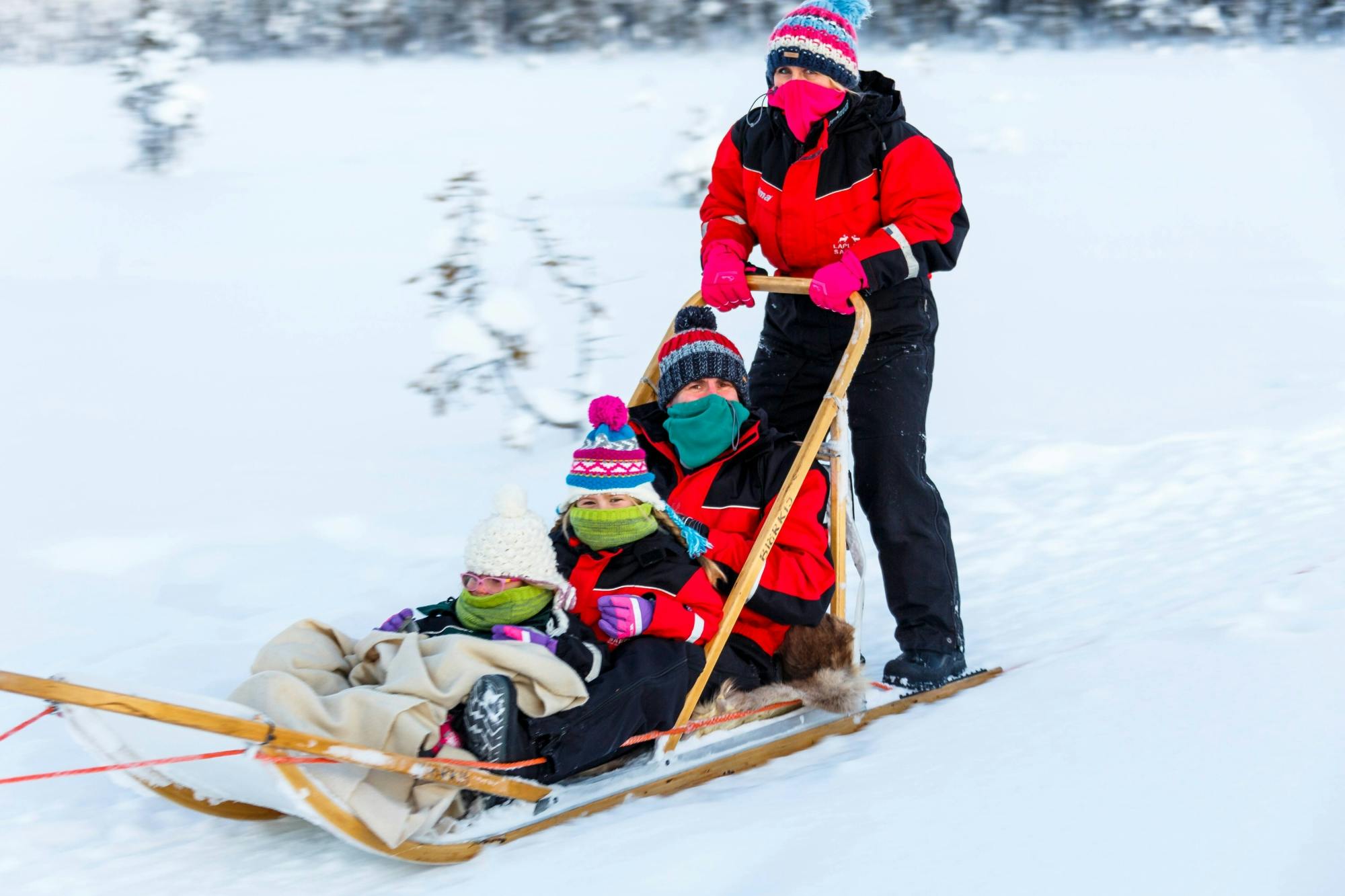 Kuusamo Husky & Reindeer Sleigh Tour