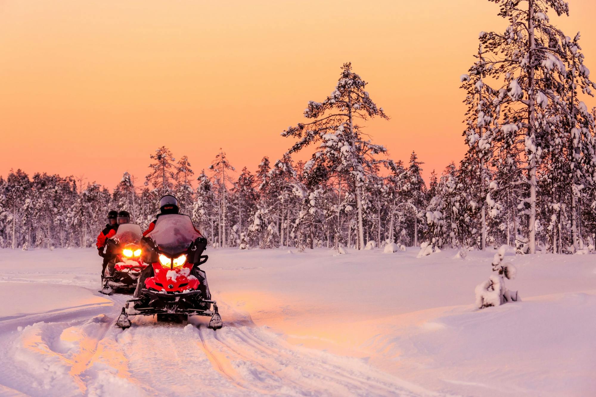 Tour di un giorno in motoslitta a Kuusamo