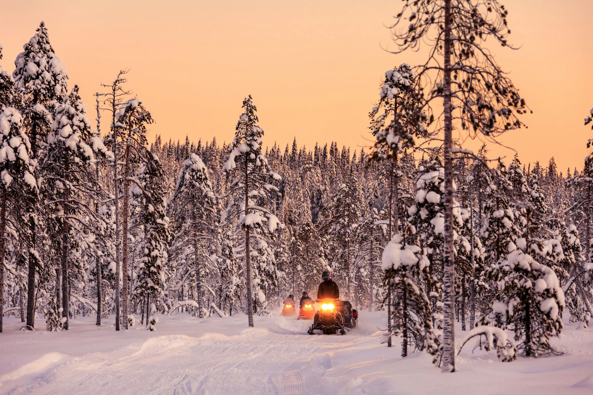 Kuusamo Snowmobile Day Tour