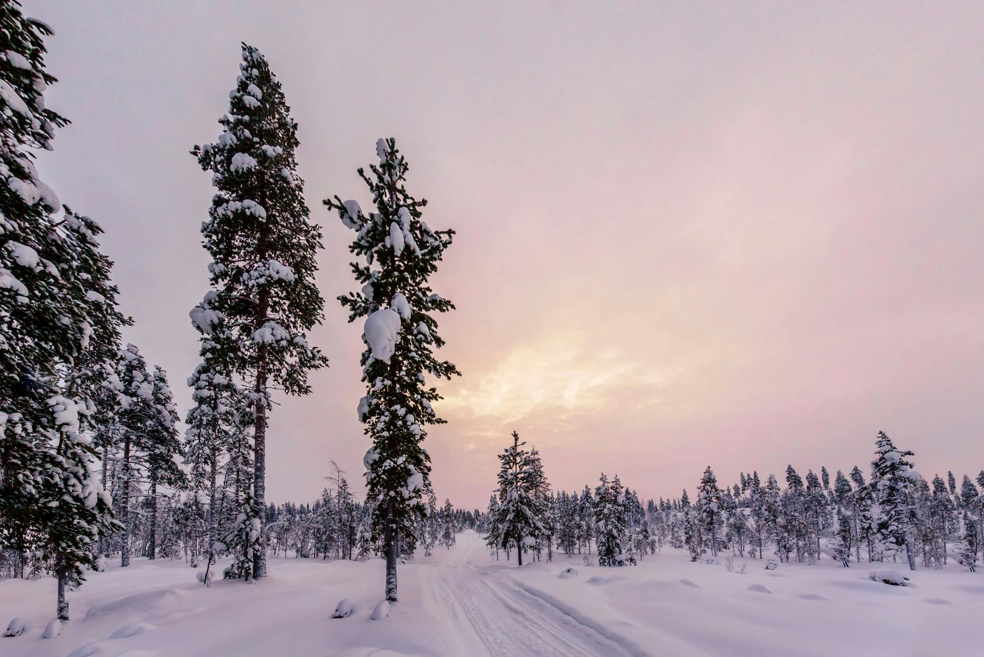 Kuusamo Snowmobile Day Tour