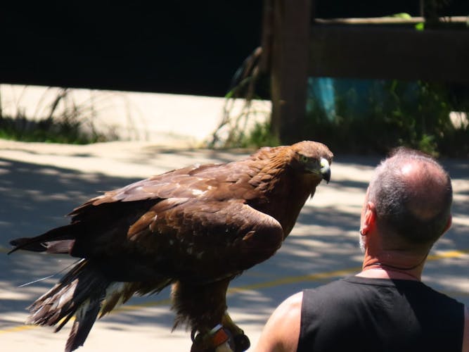 Cabárceno Natural Park tickets and guided tour from Santander