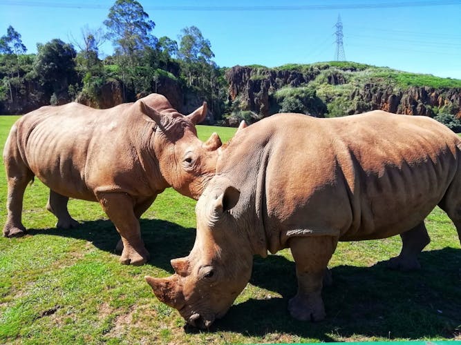 Cabárceno Natural Park tickets and guided tour from Santander