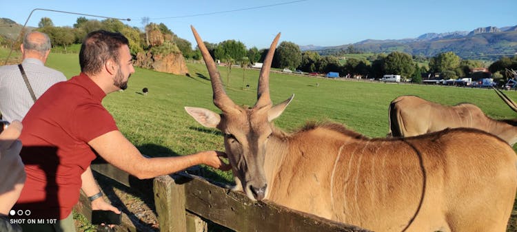 Cabárceno Natural Park tickets and guided tour from Santander