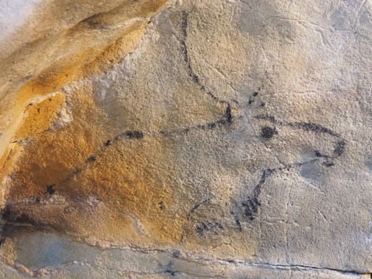 Excursión sobre el arte paleolítico desde Santander con visita a la cueva de El Castillo
