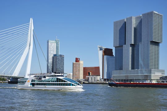 Jednodniowa wycieczka do Rotterdamu, Delft i Hagi z Amsterdamu