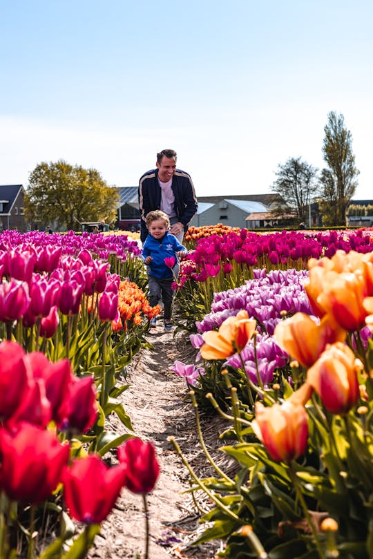 Visita guidata ai Giardini Keukenhof e Tulip Experience