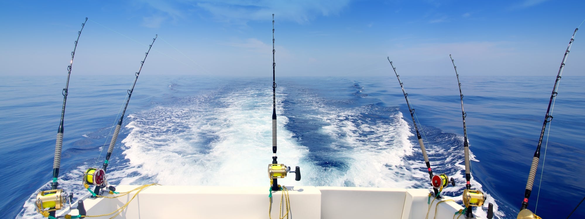 Half-day fishing boat experience from Puerto Colon Tenerife Musement