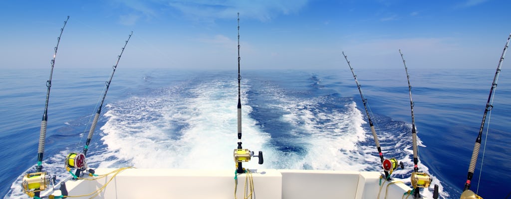 Half-day fishing boat experience from Puerto Colon Tenerife