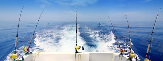 Half-day fishing boat experience from Puerto Colon Tenerife