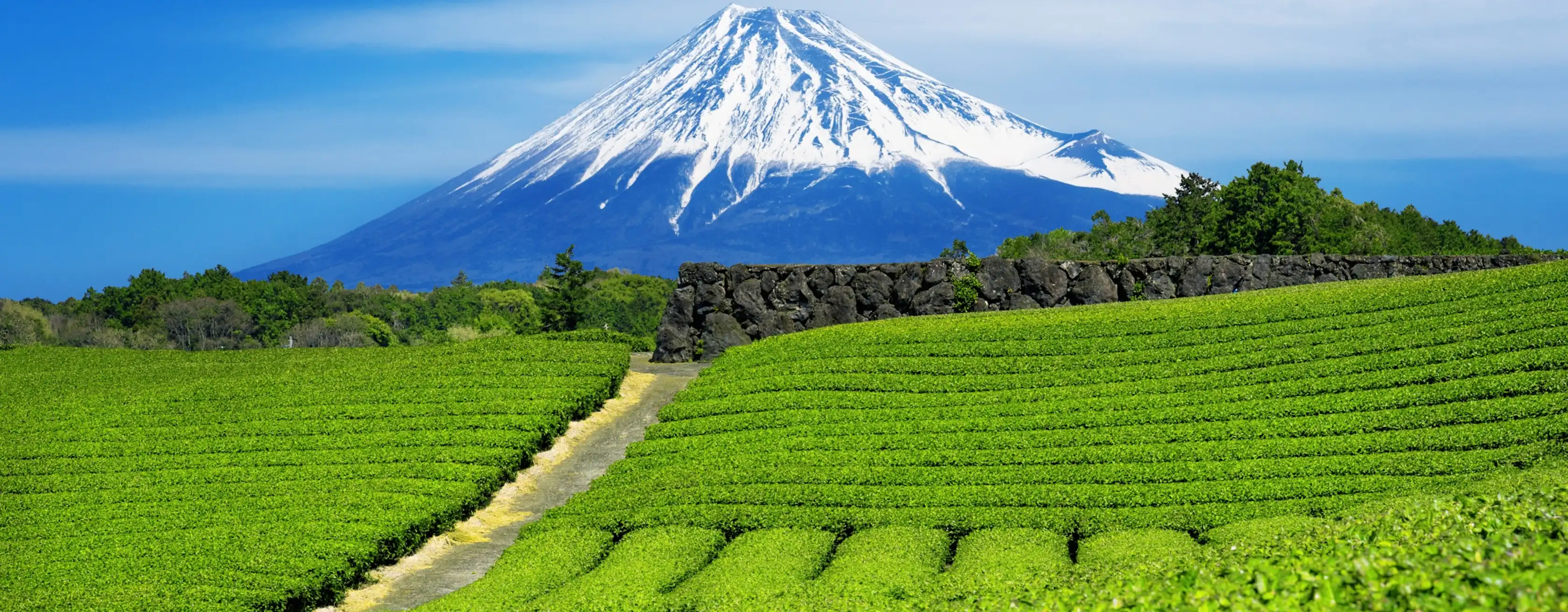 Attività a Fuji City