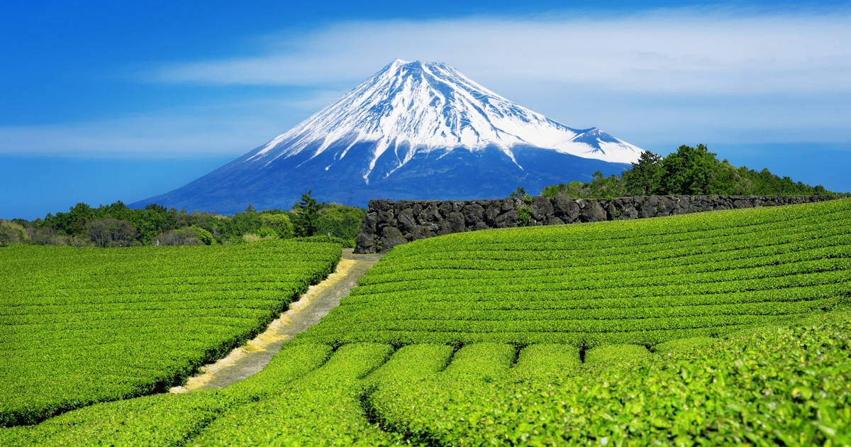 What to see and do in Fuji City - Attractions, tours, and activities What to see and do in Fuji City - Attractions, tours, and activities