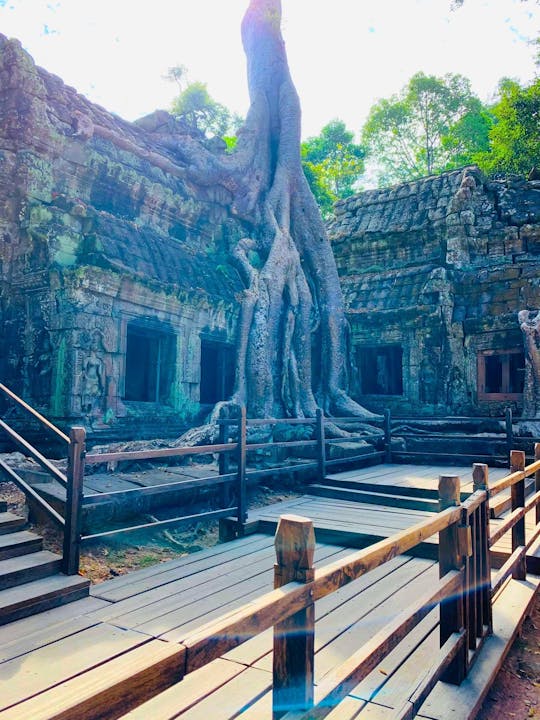 Siem Reap 4 uur privé autocharter naar Angkor Wat, Bayon en Ta phrom