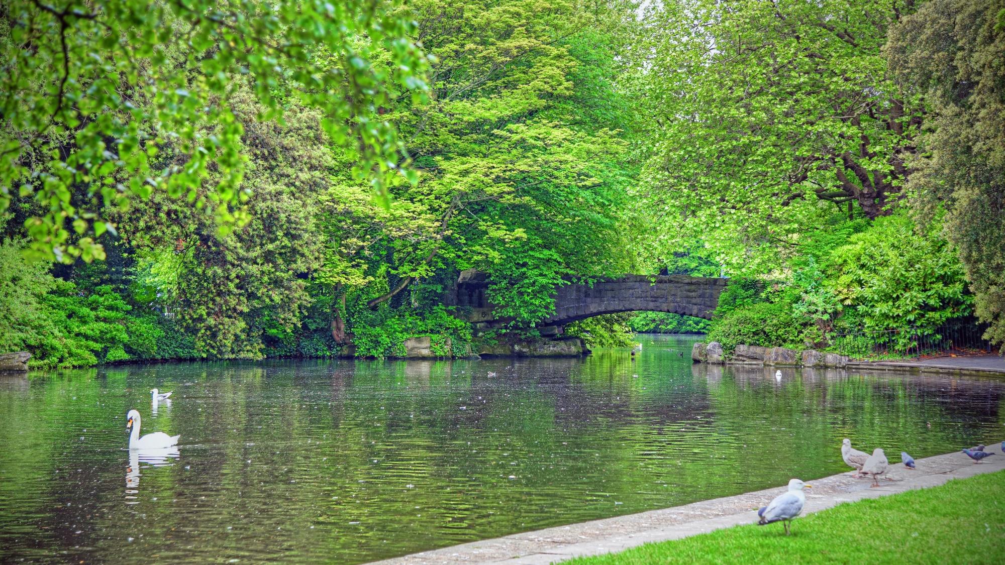 Saint Stephen's Green