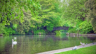 Saint Stephen's Green
