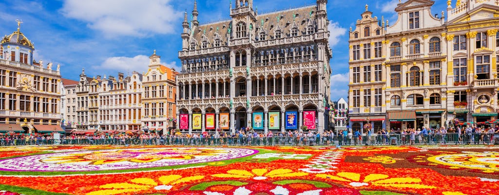 Central Brussels sightseeing tour with audio guide