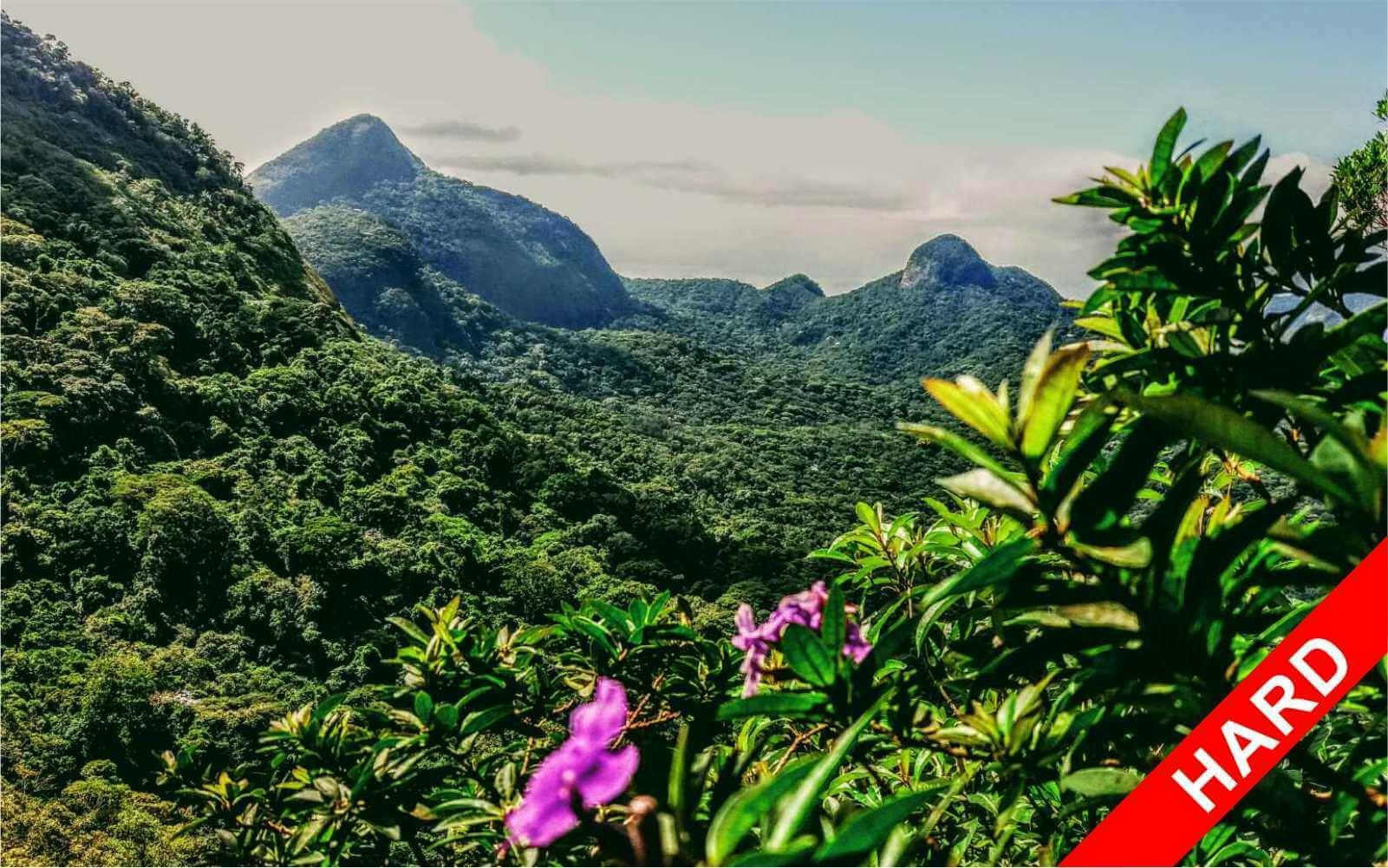 Circuito guiado de aventura senderismo de alto nivel en la selva de Tijuca