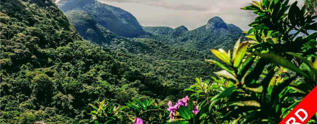 Begeleid avonturencircuit op hoog niveau wandelen in het Tijuca-bos