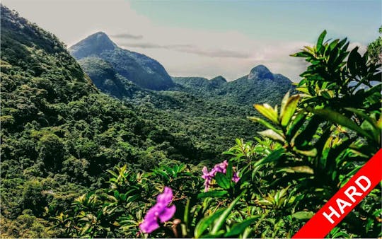 Circuit aventure guidé randonnée de haut niveau dans la forêt de Tijuca