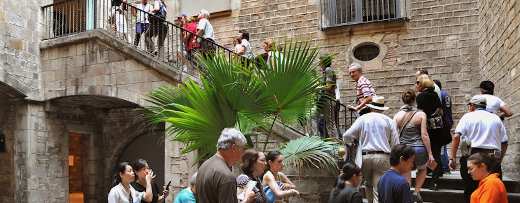 Barcelona Picasso walking tour in French