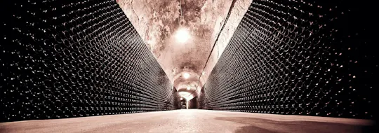 Prestige guided tour of the cellars of the Canard Duchêne House