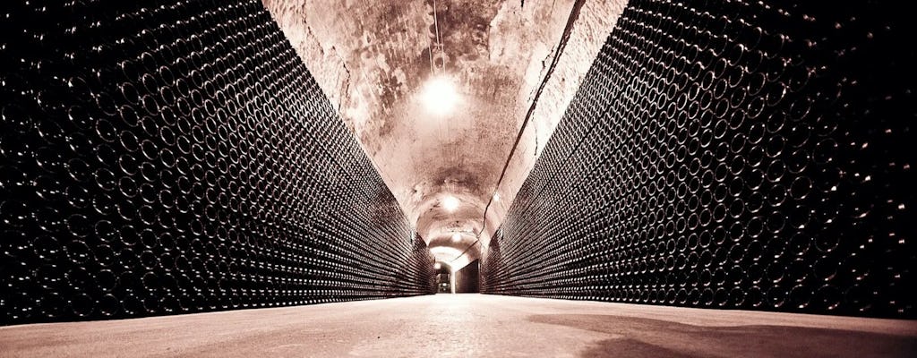 Prestige guided tour of the cellars of the Canard Duchêne House