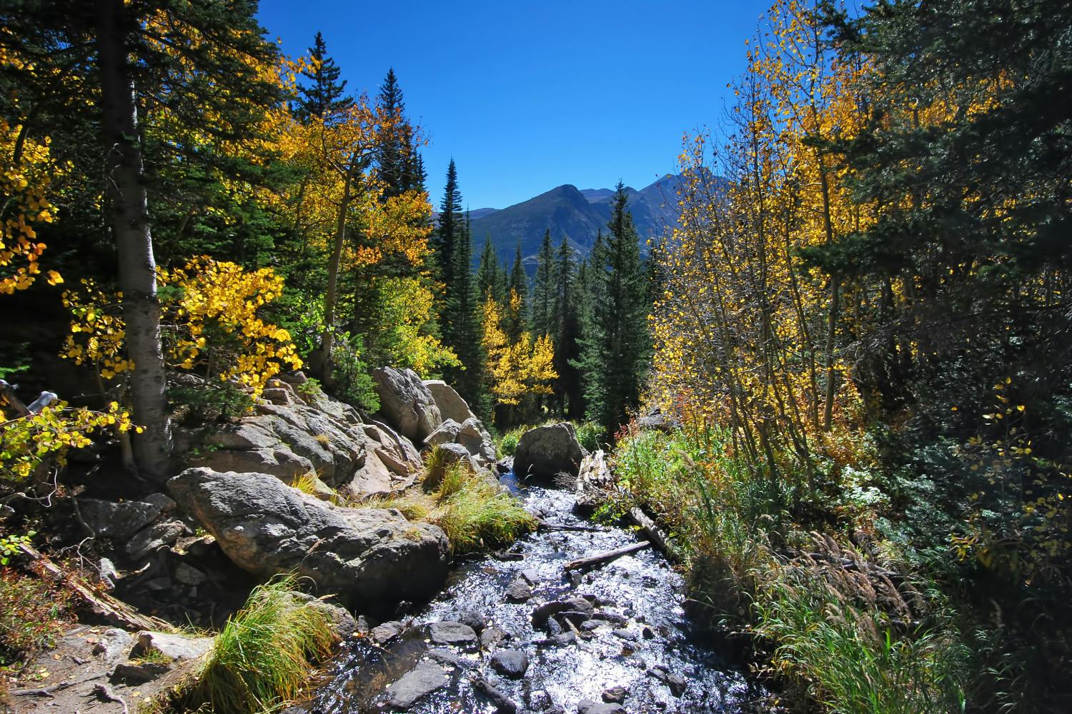 Ultimate Rocky Mountain National Park Self-Guided Driving Tour