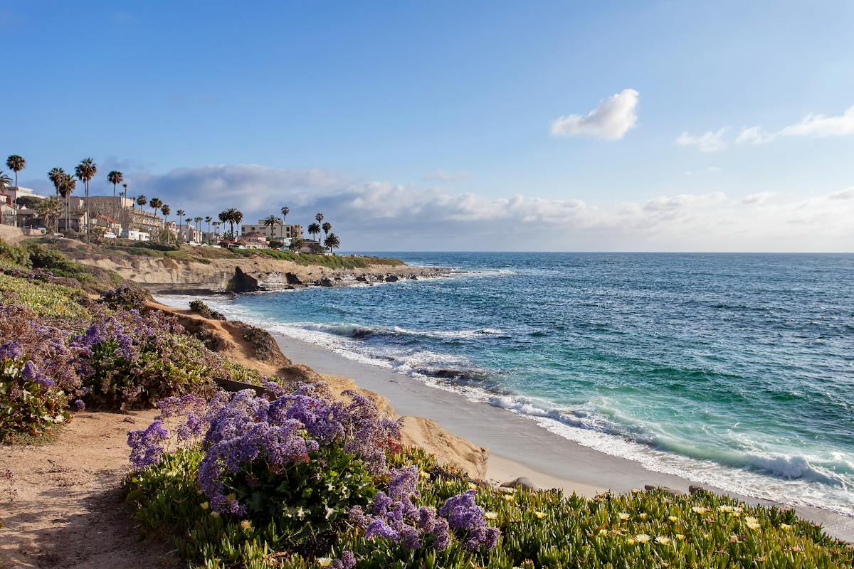 Ultimate La Jolla Self-Guided Combo Tour