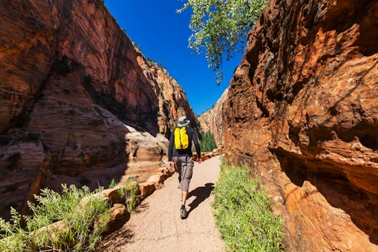 Passeio de áudio autônomo pelo Parque Nacional de Zion