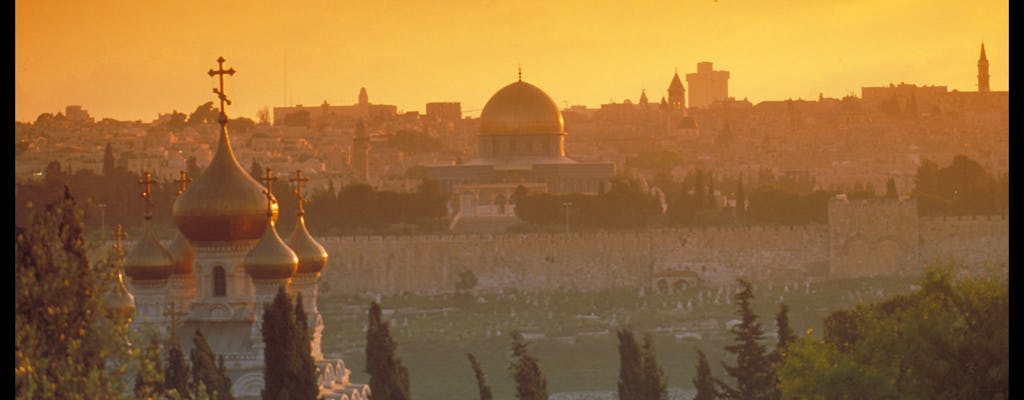 Tour guidato di Gerusalemme di mezza giornata da Herzliya