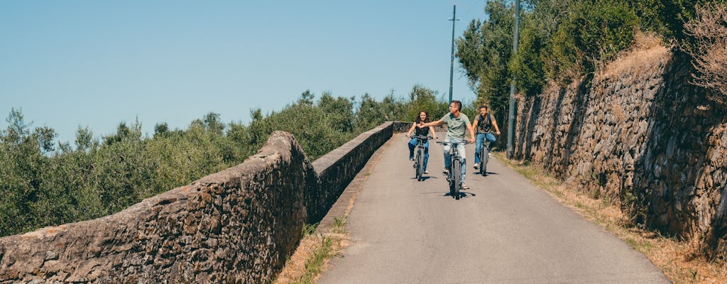 Excursão de bicicleta elétrica pelas colinas de Florença com almoço opcional