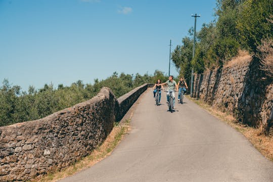 Tour in e-bike delle colline di Firenze con pranzo opzionale