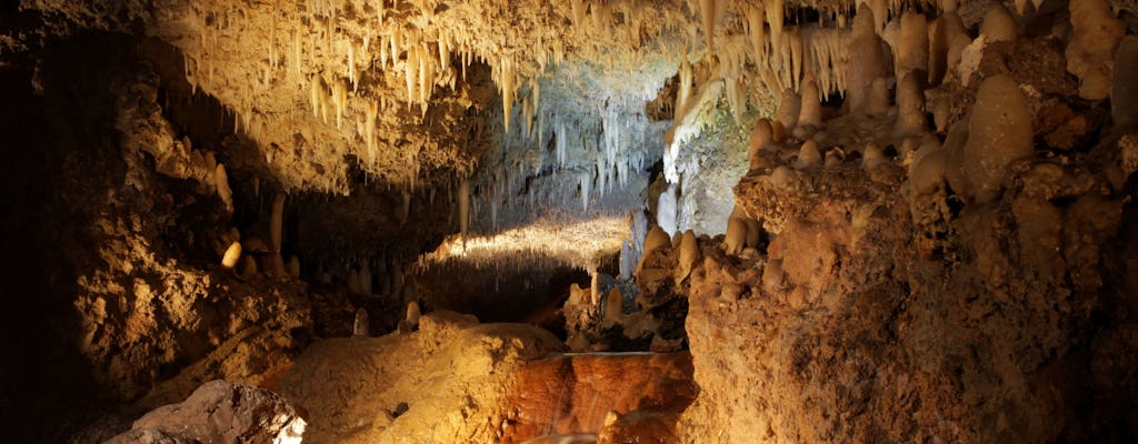 Cueva de Harrison, paseo por la naturaleza y Mount Gay Rum Experience