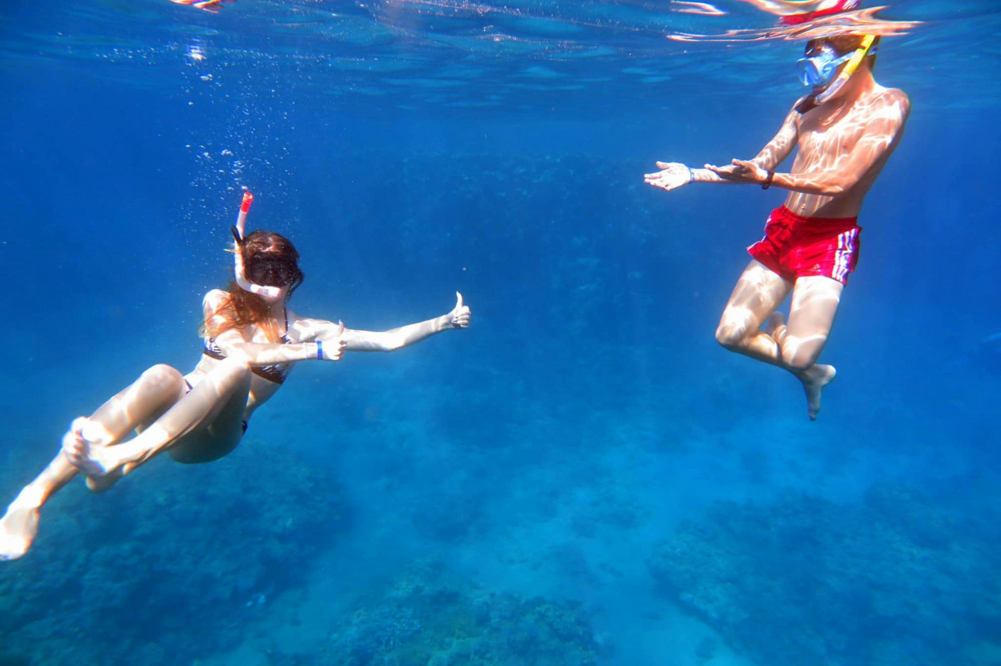 Snorkeling cruise with lunch and drinks from Dahab Musement